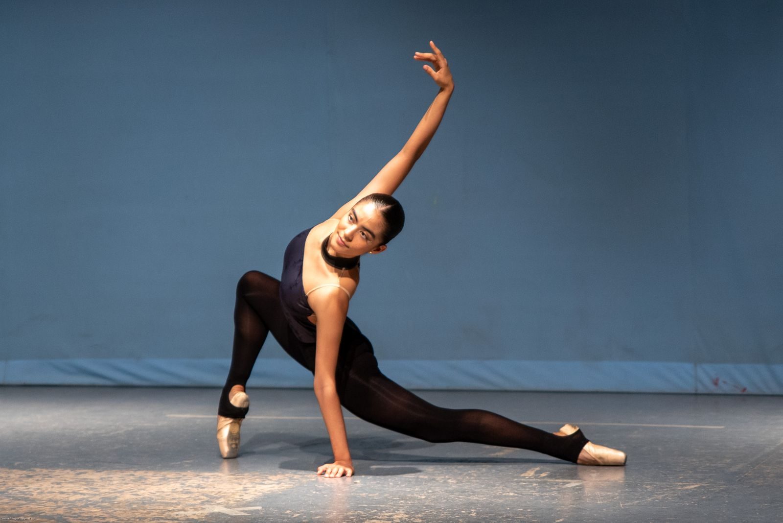 Ballet dancer in a dynamic pose showcasing grace and elegance on an indoor stage.