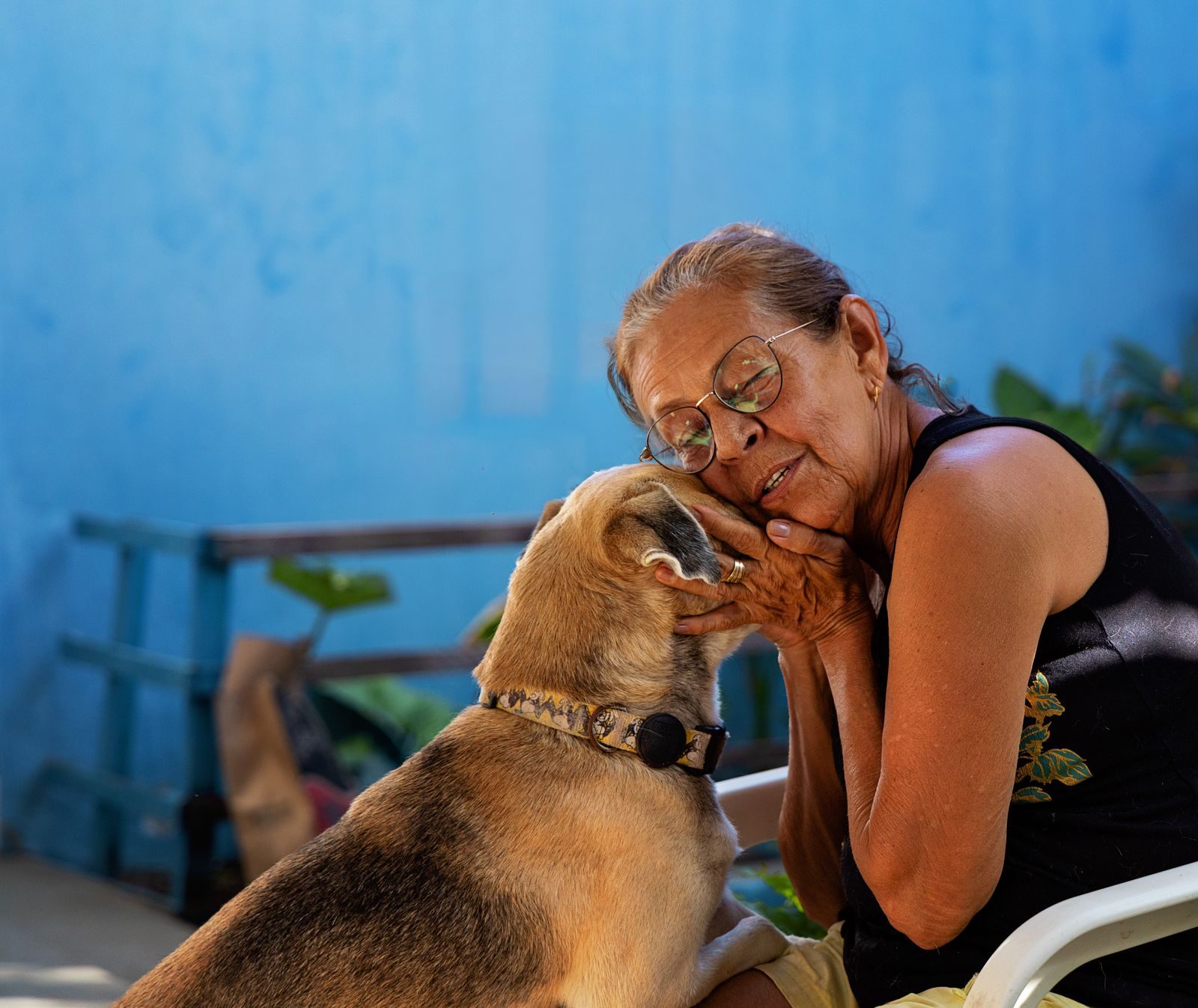 A heartwarming scene of an elderly woman lovingly embracing her pet dog outdoors.
