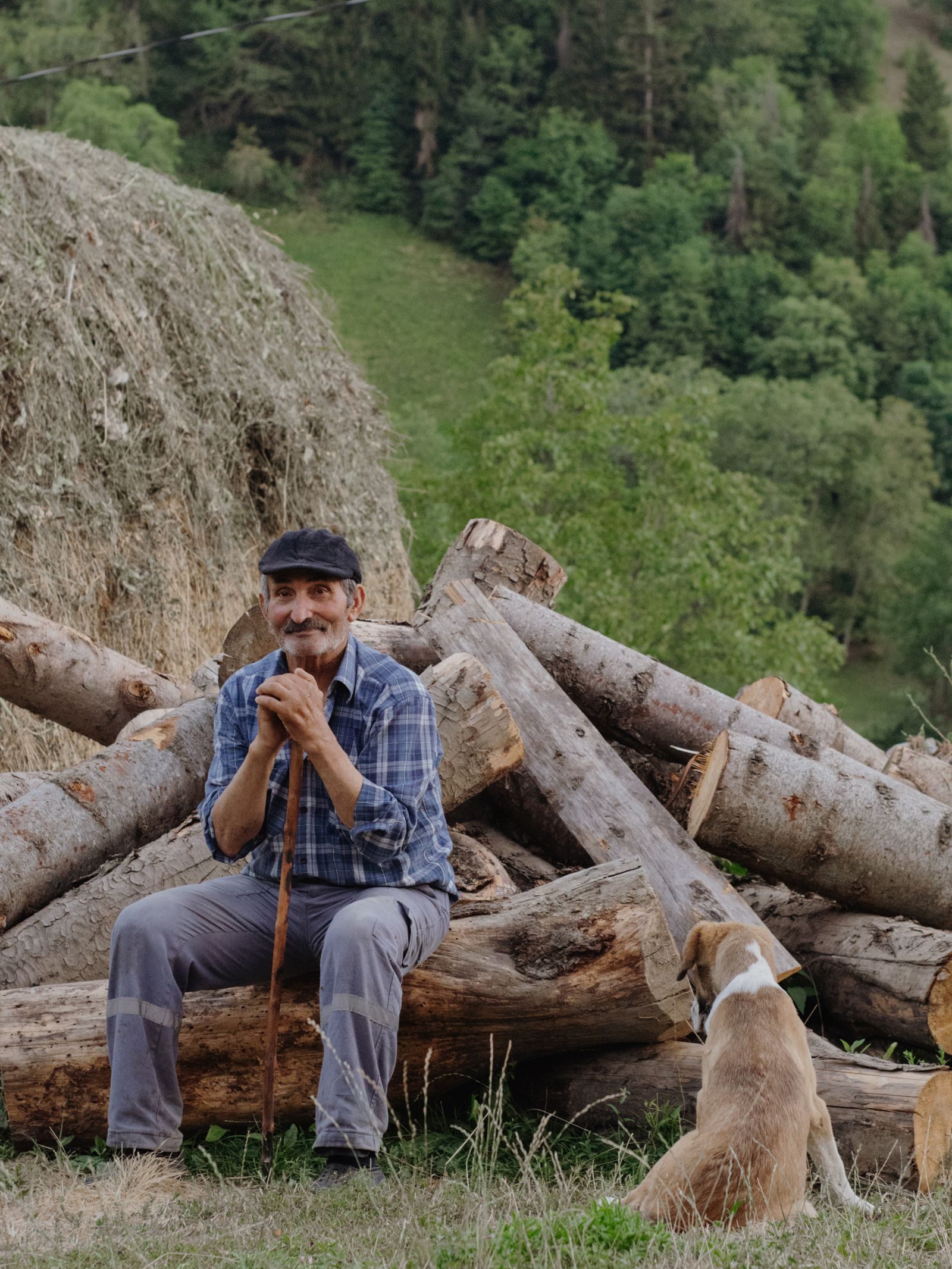 Elderly man with a dog sitting by wood logs in a lush natural setting.
