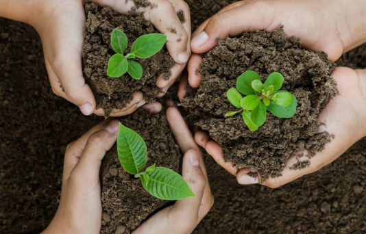【愛長在】有目標的園藝治療,引領長輩「自癒、自療」