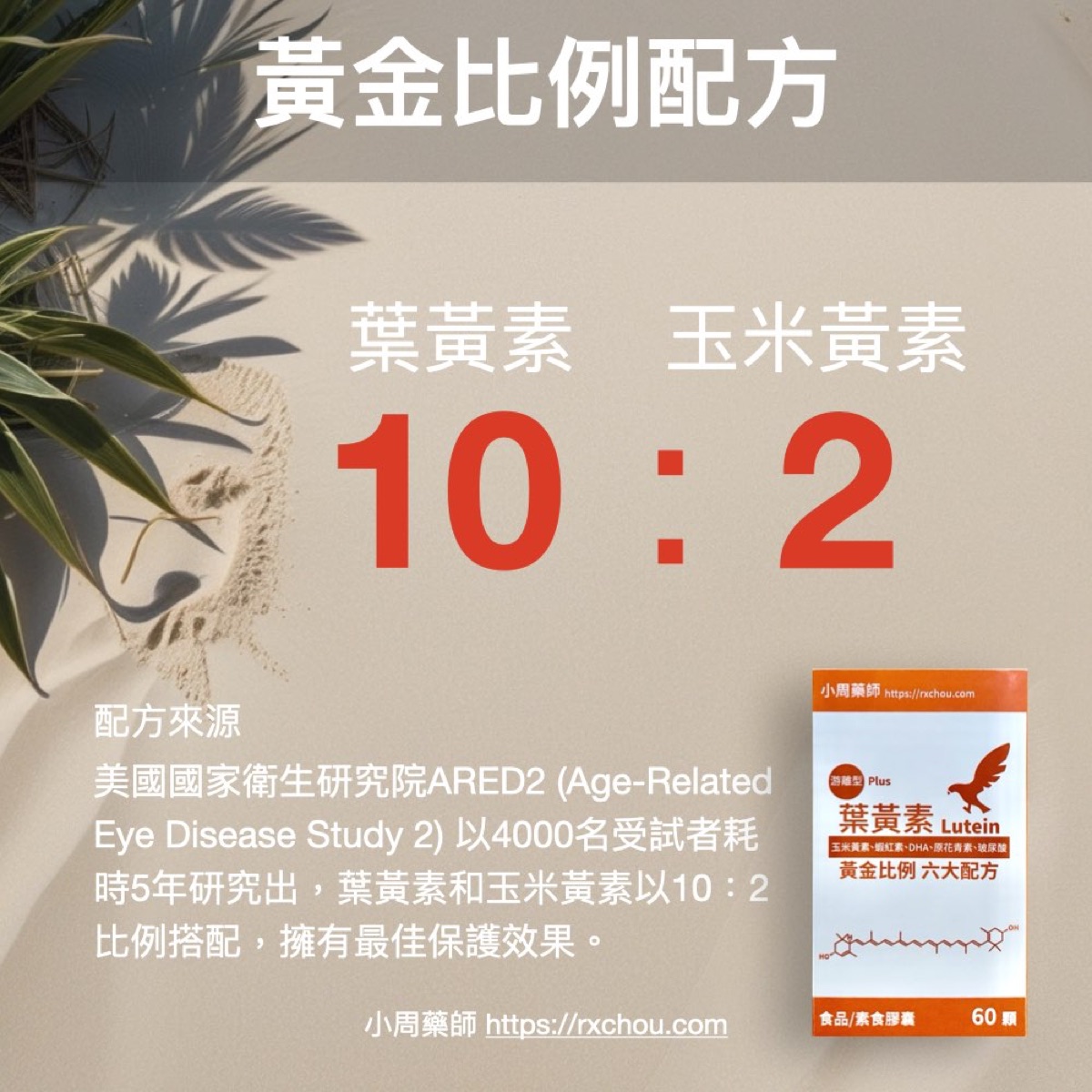 黃金比例 10:2