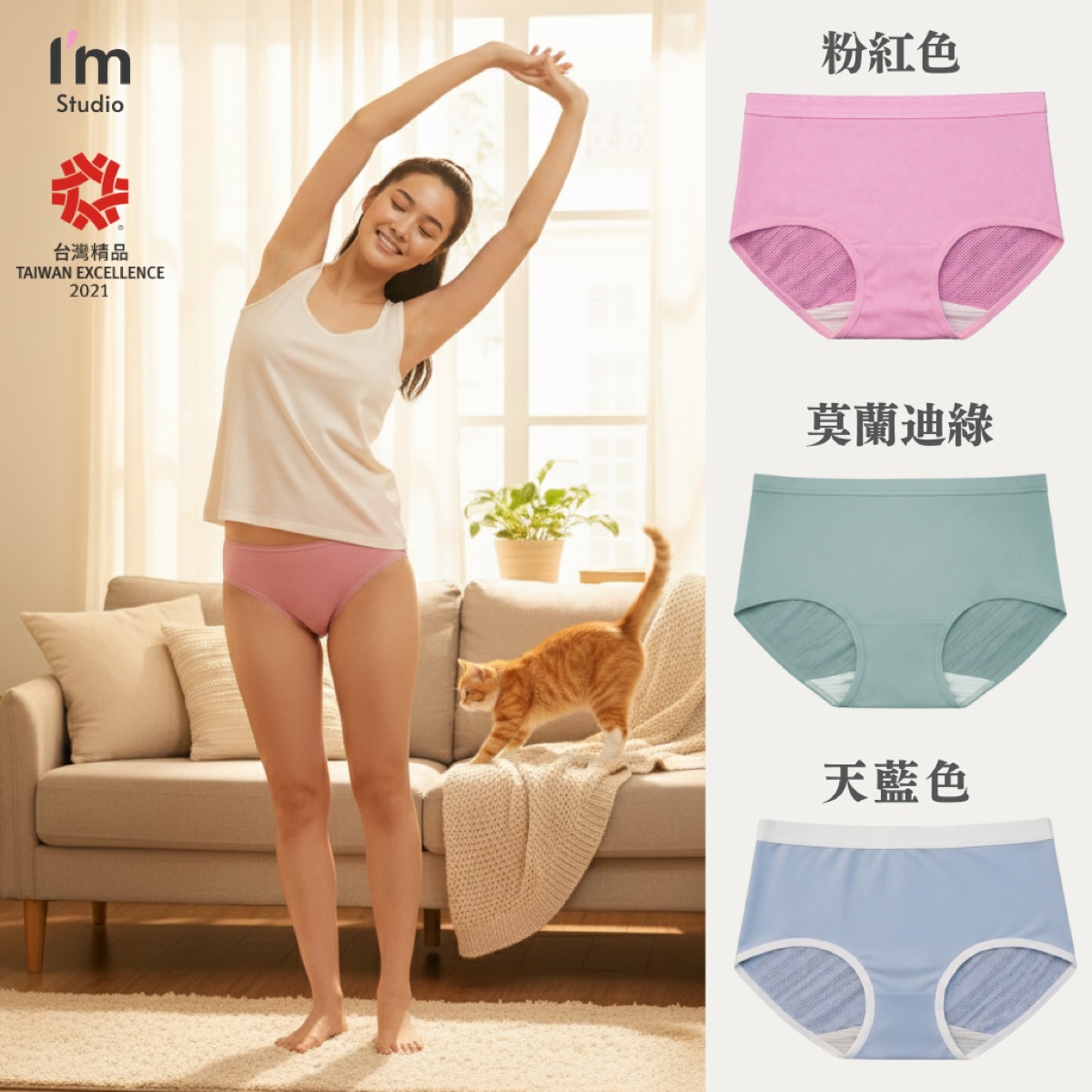 石墨烯銀纖維女性內褲 中腰 三色